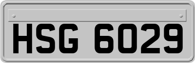 HSG6029