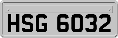 HSG6032