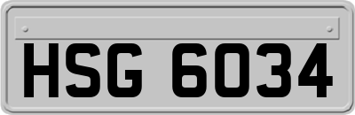 HSG6034