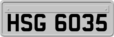 HSG6035