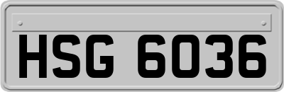 HSG6036