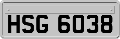 HSG6038