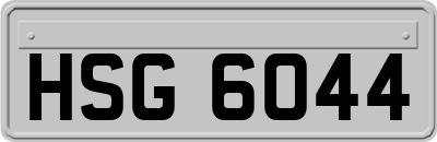 HSG6044