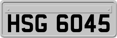 HSG6045