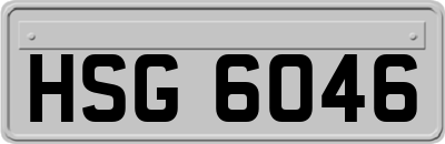 HSG6046