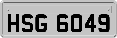 HSG6049