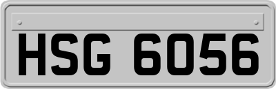HSG6056