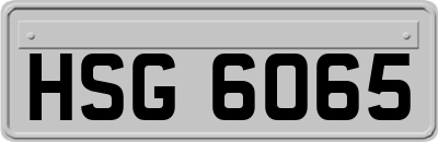 HSG6065