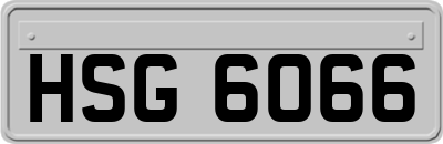HSG6066