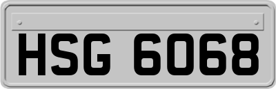 HSG6068