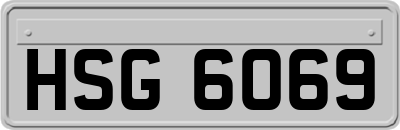 HSG6069