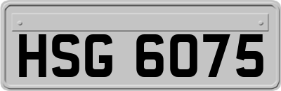 HSG6075
