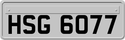 HSG6077