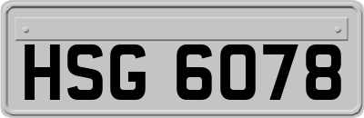 HSG6078