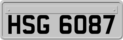 HSG6087