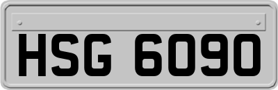 HSG6090