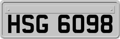 HSG6098