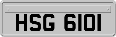 HSG6101