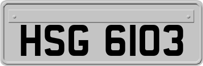 HSG6103
