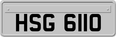 HSG6110
