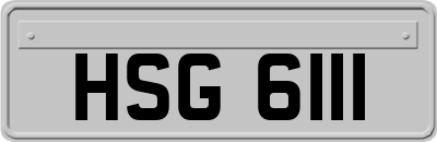 HSG6111