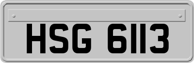 HSG6113