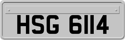 HSG6114