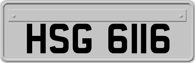 HSG6116