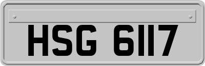 HSG6117