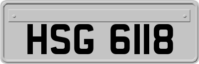 HSG6118