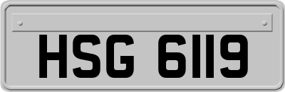 HSG6119