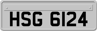HSG6124