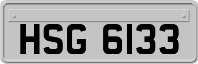 HSG6133