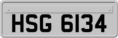 HSG6134