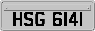 HSG6141