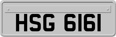 HSG6161