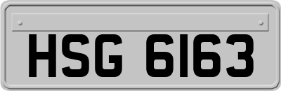 HSG6163