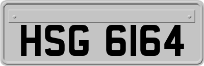 HSG6164