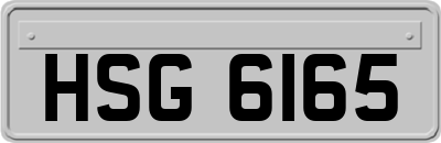 HSG6165