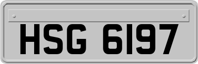 HSG6197