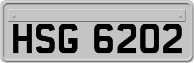 HSG6202