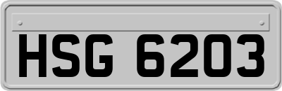 HSG6203