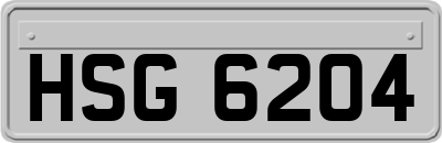 HSG6204