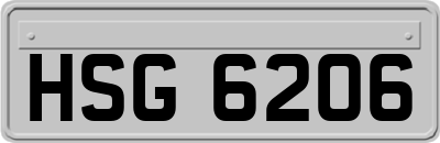HSG6206