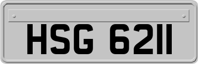 HSG6211