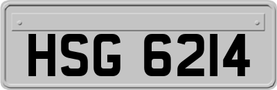 HSG6214