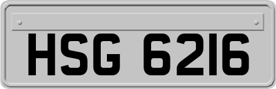 HSG6216