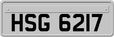 HSG6217