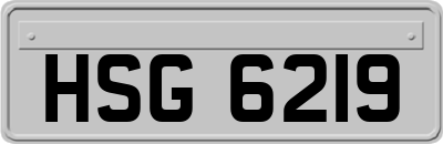 HSG6219