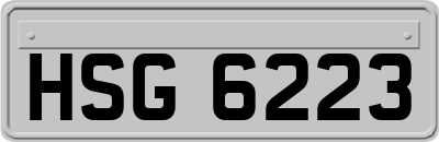HSG6223